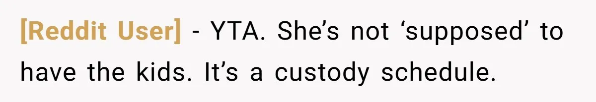 [Reddit User] - YTA. She’s not ‘supposed’ to have the kids. It’s a custody schedule.