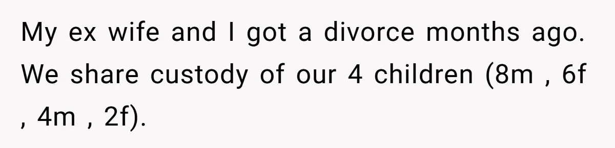 My ex wife and I got a divorce months ago. We share custody of our 4 children (8m , 6f , 4m , 2f).