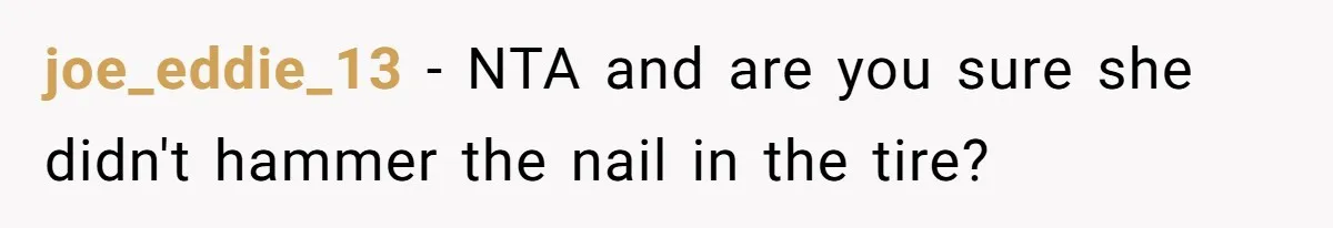 joe_eddie_13 − NTA and are you sure she didn't hammer the nail in the tire?