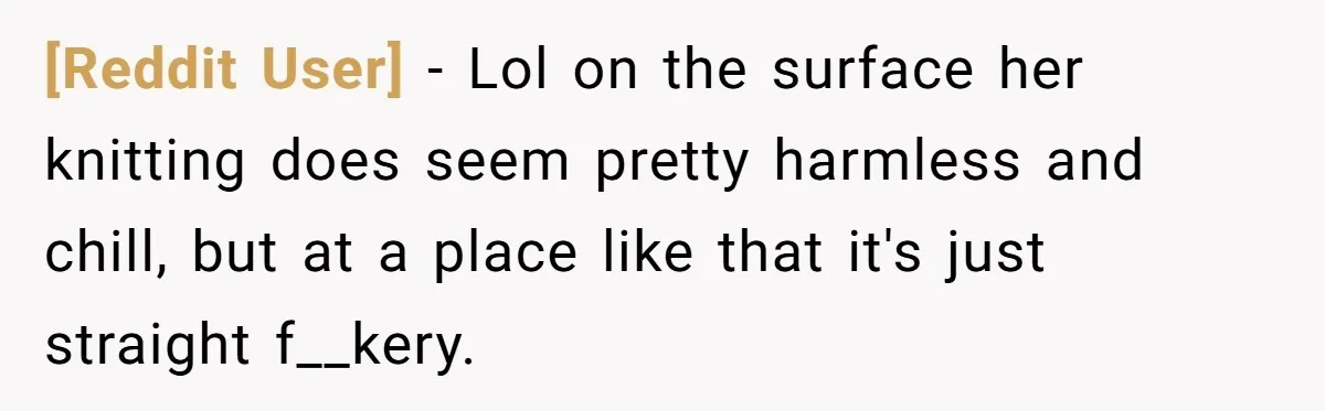 [Reddit User] − Lol on the surface her knitting does seem pretty harmless and chill, but at a place like that it's just straight f__kery.