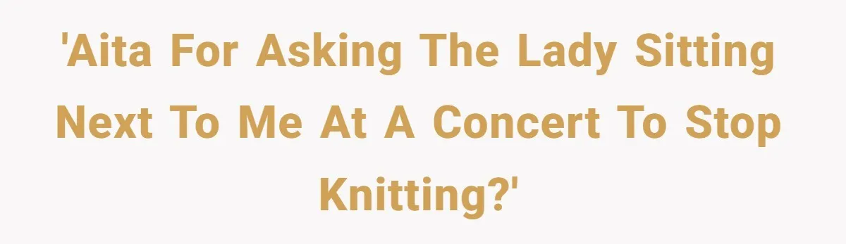 'AITA for asking the lady sitting next to me at a concert to stop knitting?'