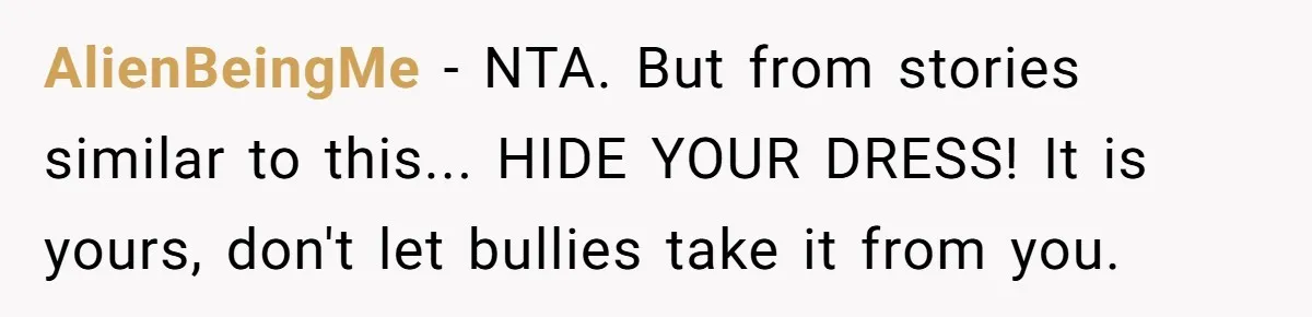 AlienBeingMe − NTA. But from stories similar to this... HIDE YOUR DRESS! It is yours, don't let bullies take it from you.