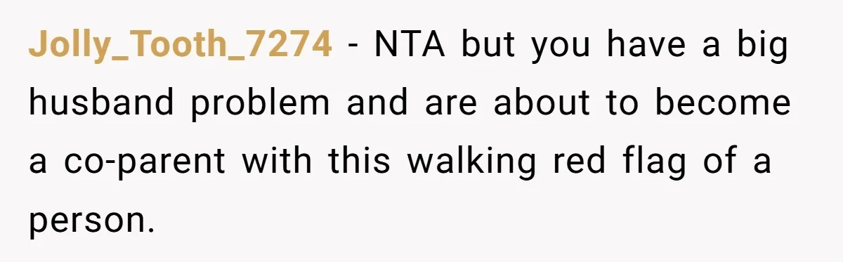 Jolly_Tooth_7274 - NTA but you have a big husband problem and are about to become a co-parent with this walking red flag of a person.