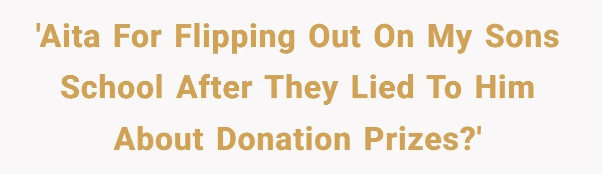 'AITA for flipping out on my sons school after they lied to him about donation prizes?'