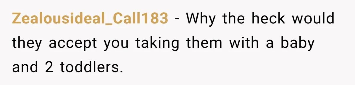 Zealousideal_Call183 − Why the heck would they accept you taking them with a baby and 2 toddlers.