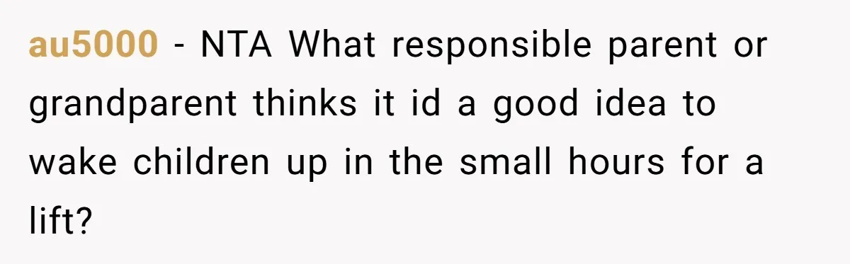 au5000 − NTA What responsible parent or grandparent thinks it id a good idea to wake children up in the small hours for a lift?