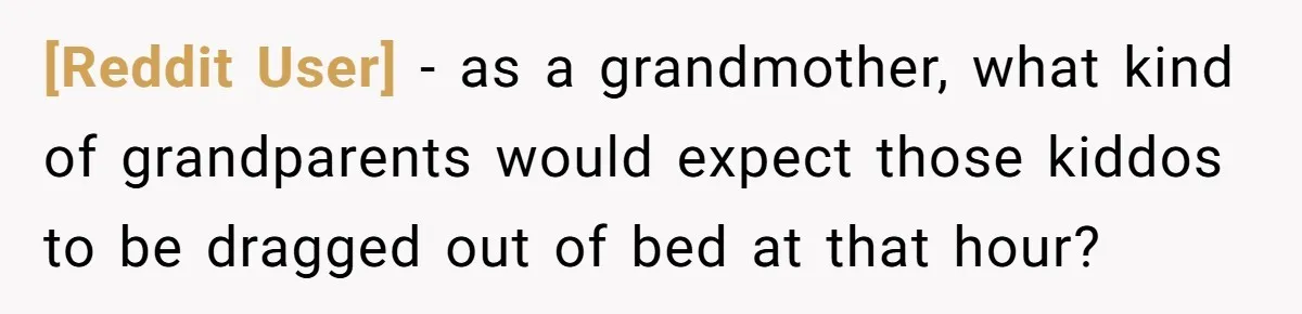 [Reddit User] − as a grandmother, what kind of grandparents would expect those kiddos to be dragged out of bed at that hour?