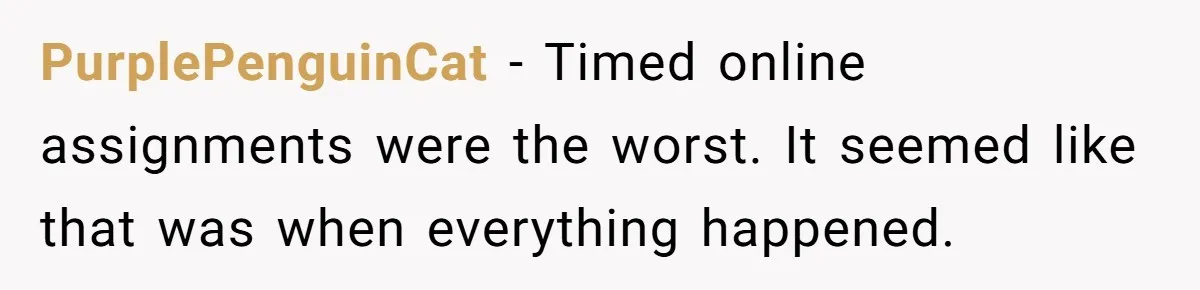 PurplePenguinCat − Timed online assignments were the worst. It seemed like that was when everything happened.
