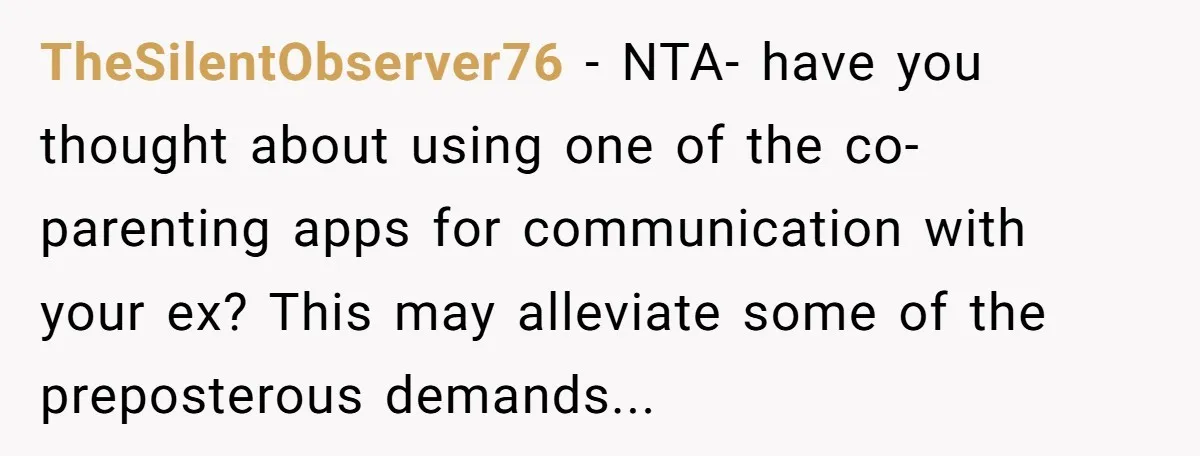 TheSilentObserver76 − NTA- have you thought about using one of the co- parenting apps for communication with your ex? This may alleviate some of the preposterous demands...