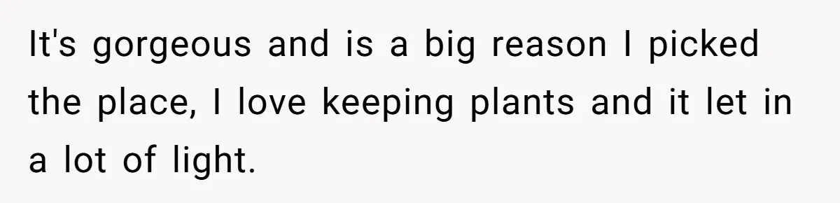 Man Calls Neighbor “Petty” After She Stops Him From Staring Into Her Apartment It's gorgeous and is a big reason I picked the place, I love keeping plants and it let in a lot of light.
