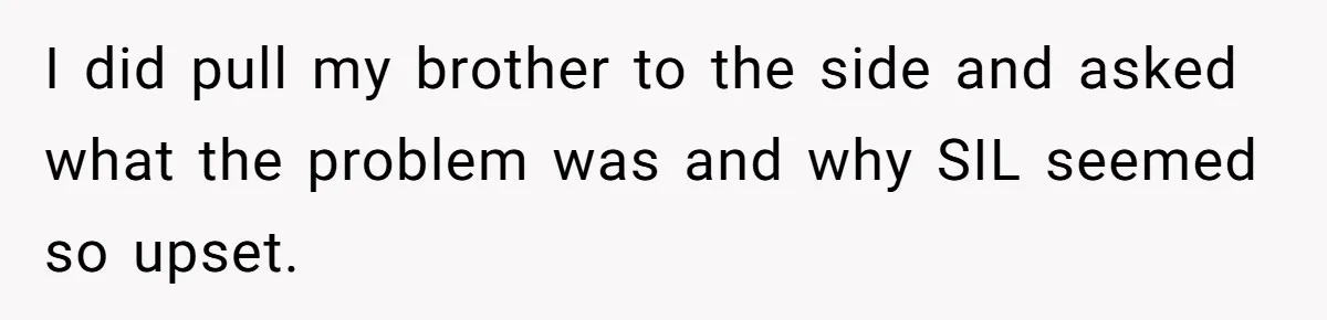 I did pull my brother to the side and asked what the problem was and why SIL seemed so upset.