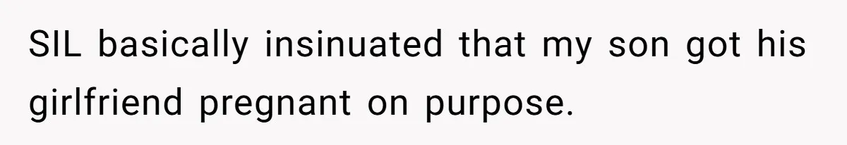 SIL basically insinuated that my son got his girlfriend pregnant on purpose.