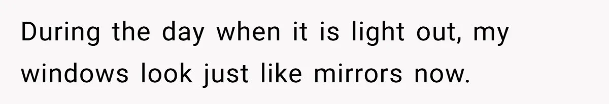 Man Calls Neighbor “Petty” After She Stops Him From Staring Into Her Apartment During the day when it is light out, my windows look just like mirrors now.