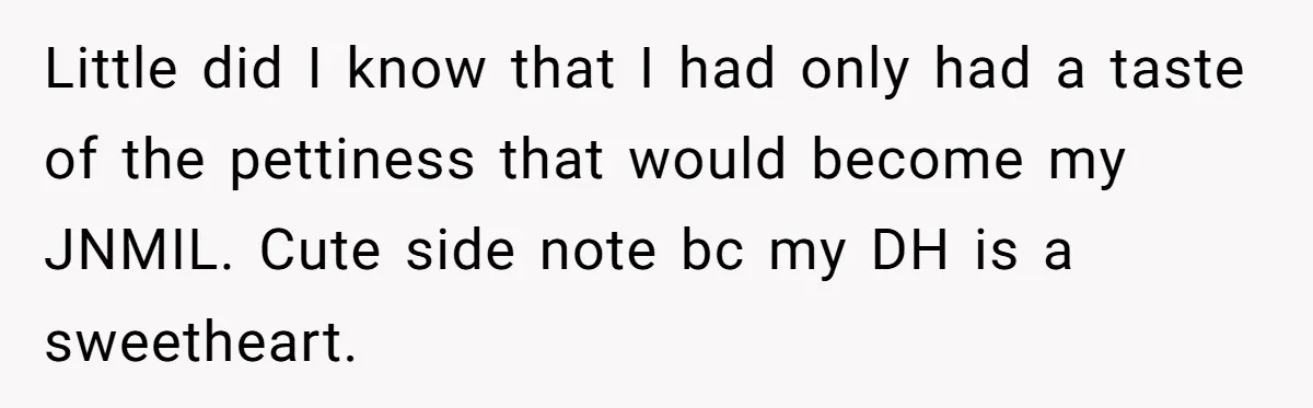 Little did I know that I had only had a taste of the pettiness that would become my JNMIL. Cute side note bc my DH is a sweetheart.