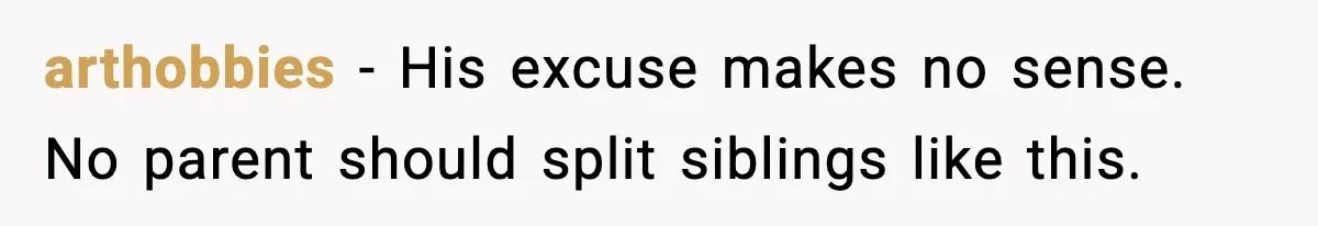 arthobbies - His excuse makes no sense. No parent should split siblings like this.