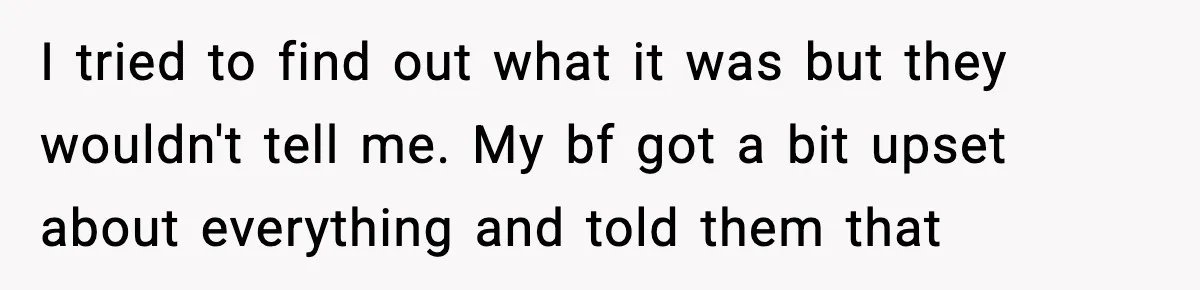 Brother Wants Her at the Wedding, But Only as a Silent Apology I tried to find out what it was but they wouldn't tell me. My bf got a bit upset about everything and told them that