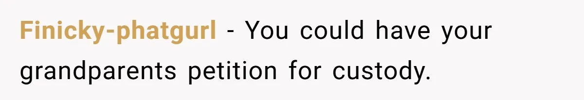 Finicky-phatgurl − You could have your grandparents petition for custody.