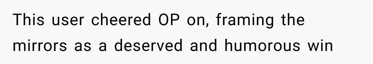 Man Calls Neighbor “Petty” After She Stops Him From Staring Into Her Apartment This user cheered OP on, framing the mirrors as a deserved and humorous win