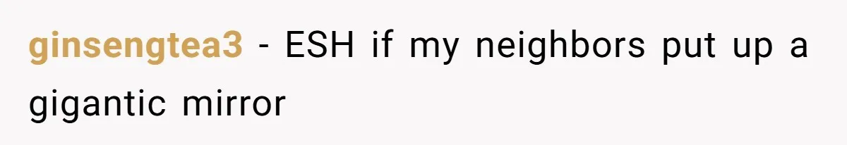 Man Calls Neighbor “Petty” After She Stops Him From Staring Into Her Apartment ginsengtea3 − ESH if my neighbors put up a gigantic mirror