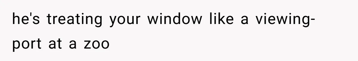 Man Calls Neighbor “Petty” After She Stops Him From Staring Into Her Apartment he's treating your window like a viewing-port at a zoo