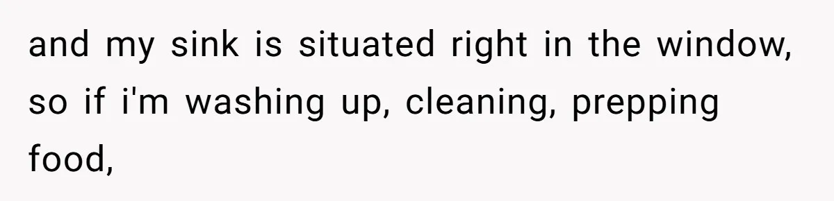 Man Calls Neighbor “Petty” After She Stops Him From Staring Into Her Apartment and my sink is situated right in the window, so if i'm washing up, cleaning, prepping food,
