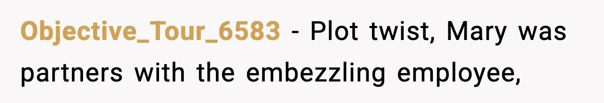 Objective_Tour_6583 − Plot twist, Mary was partners with the embezzling employee,