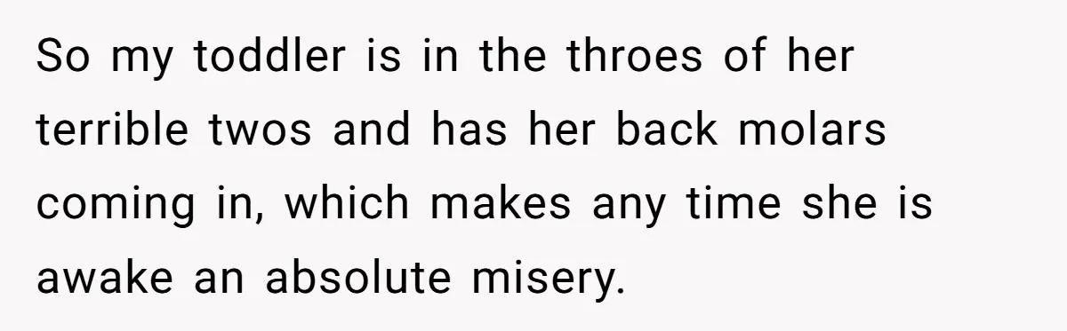 So my toddler is in the throes of her terrible twos and has her back molars coming in, which makes any time she is awake an absolute misery.