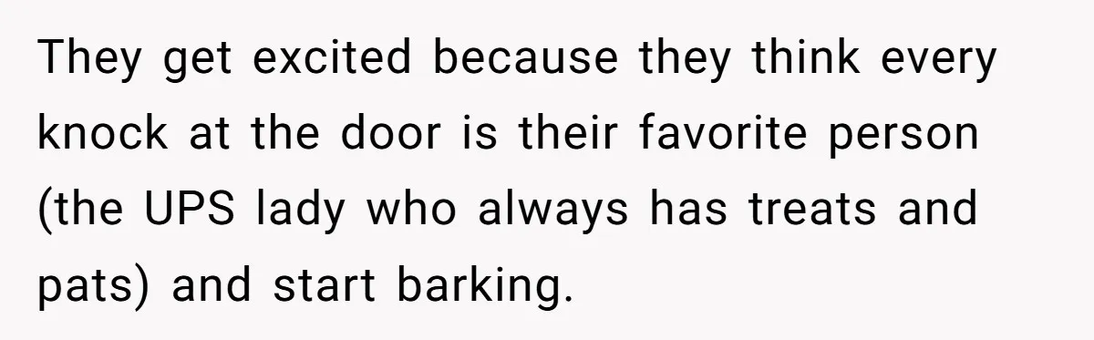 They get excited because they think every knock at the door is their favorite person (the UPS lady who always has treats and pats) and start barking.