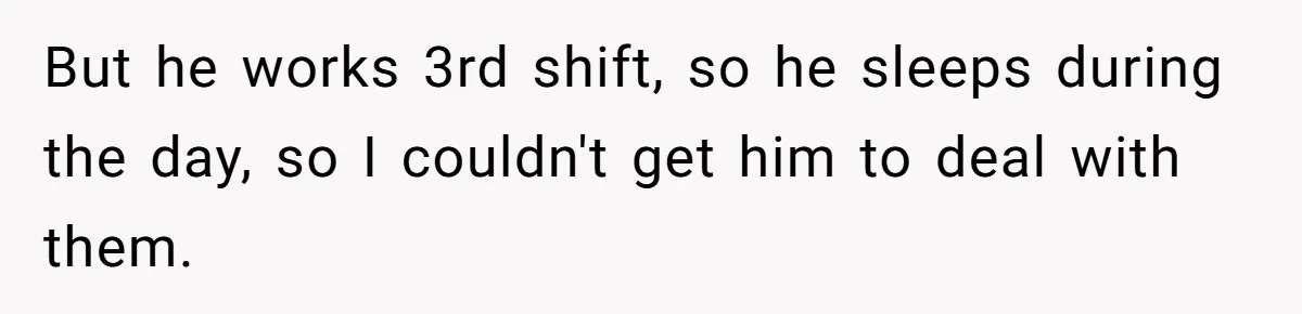 But he works 3rd shift, so he sleeps during the day, so I couldn't get him to deal with them.