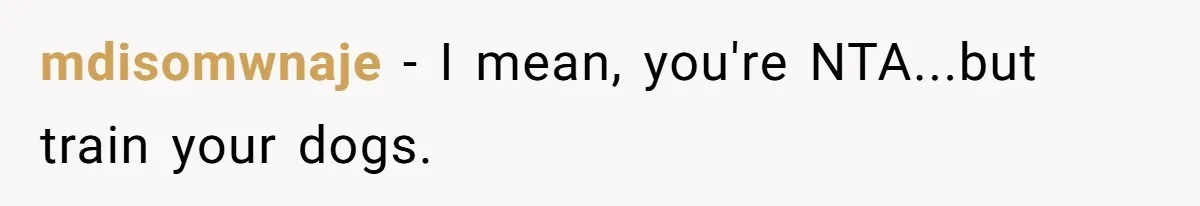 mdisomwnaje − I mean, you're NTA...but train your dogs.
