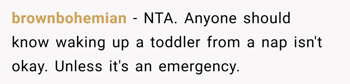 brownbohemian − NTA. Anyone should know waking up a toddler from a nap isn't okay. Unless it's an emergency.