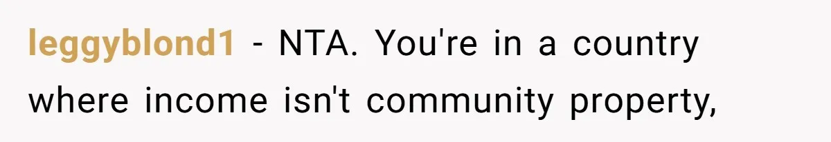 Husband Discovers Unemployed Wife Secretly Subscribes To 15 Streaming Services Using His Credit Card leggyblond1 − NTA. You're in a country where income isn't community property,