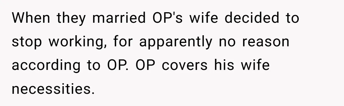 Husband Discovers Unemployed Wife Secretly Subscribes To 15 Streaming Services Using His Credit Card When they married OP's wife decided to stop working, for apparently no reason according to OP. OP covers his wife necessities.