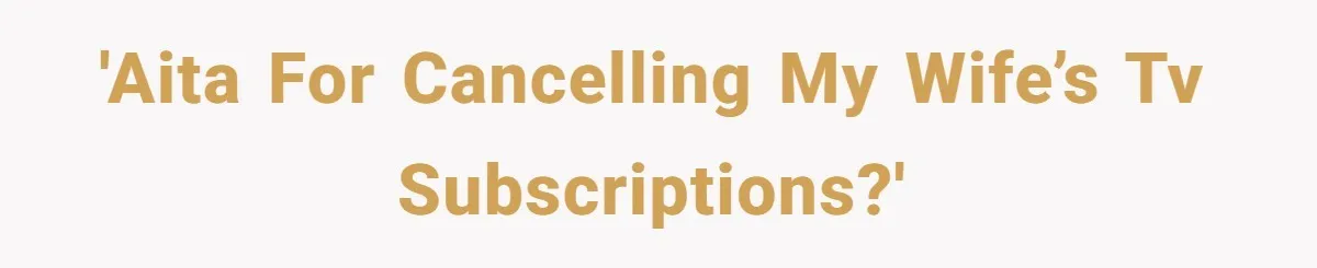 Husband Discovers Unemployed Wife Secretly Subscribes To 15 Streaming Services Using His Credit Card 'AITA for cancelling my wife’s TV subscriptions?'