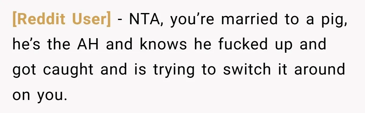 [Reddit User] − NTA, you’re married to a pig, he’s the AH and knows he fucked up and got caught and is trying to switch it around on you.