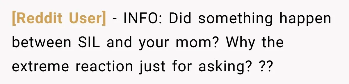 [Reddit User] − INFO: Did something happen between SIL and your mom? Why the extreme reaction just for asking? ??