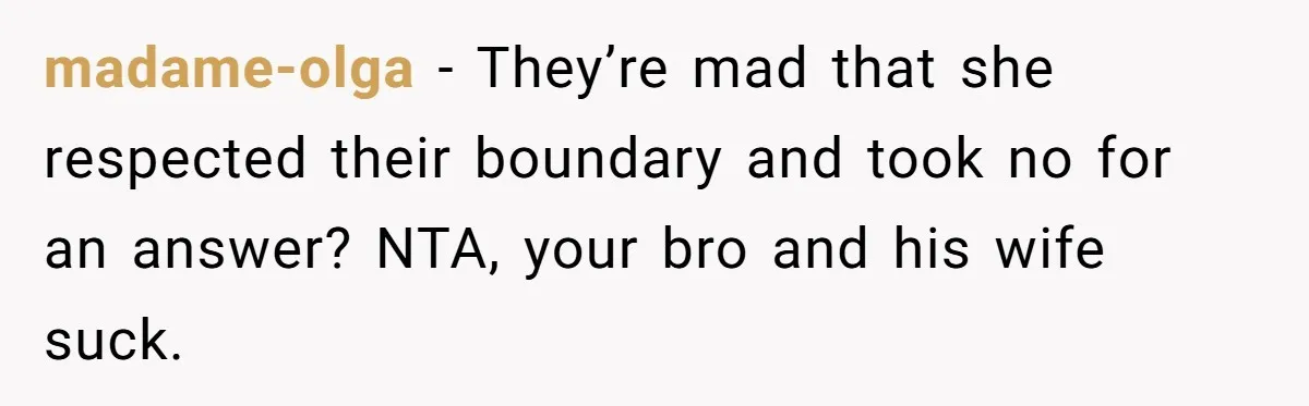 madame-olga − They’re mad that she respected their boundary and took no for an answer? NTA, your bro and his wife suck.