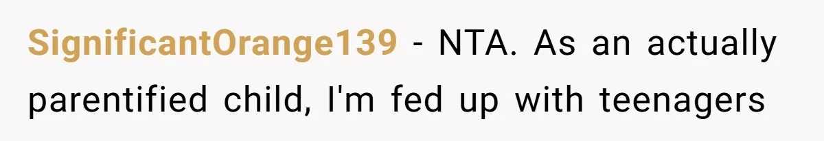 SignificantOrange139 − NTA. As an actually parentified child, I'm fed up with teenagers