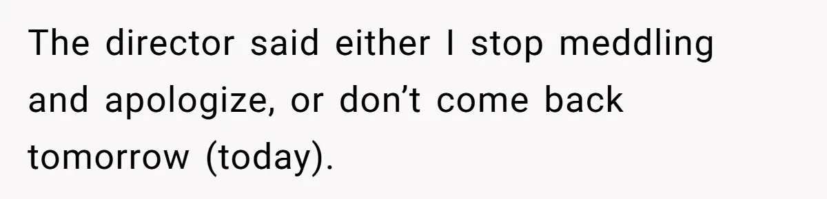 The director said either I stop meddling and apologize, or don’t come back tomorrow (today).