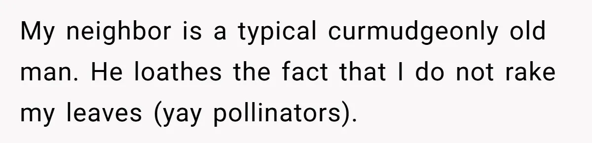 Grumpy Neighbor Sneaks Into Yard To Rake Leaves But Homeowner Strikes Back With Midnight Revenge Move My neighbor is a typical curmudgeonly old man. He loathes the fact that I do not rake my leaves (yay pollinators).