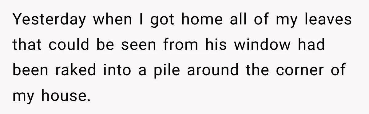 Grumpy Neighbor Sneaks Into Yard To Rake Leaves But Homeowner Strikes Back With Midnight Revenge Move Yesterday when I got home all of my leaves that could be seen from his window had been raked into a pile around the corner of my house.