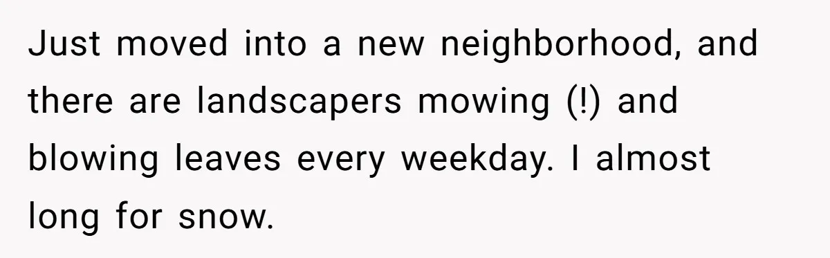 Grumpy Neighbor Sneaks Into Yard To Rake Leaves But Homeowner Strikes Back With Midnight Revenge Move Just moved into a new neighborhood, and there are landscapers mowing (!) and blowing leaves every weekday. I almost long for snow.