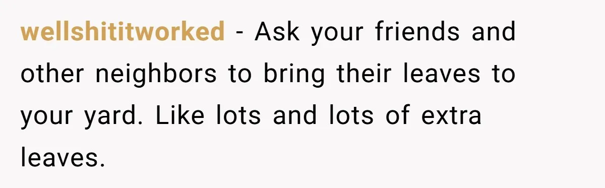 Grumpy Neighbor Sneaks Into Yard To Rake Leaves But Homeowner Strikes Back With Midnight Revenge Move wellshititworked − Ask your friends and other neighbors to bring their leaves to your yard. Like lots and lots of extra leaves.