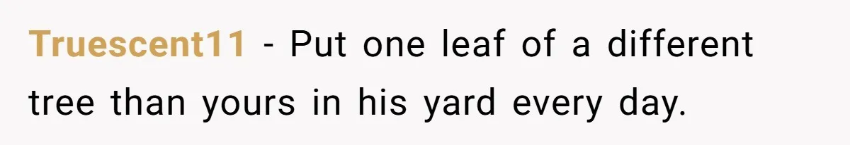Grumpy Neighbor Sneaks Into Yard To Rake Leaves But Homeowner Strikes Back With Midnight Revenge Move Truescent11 − Put one leaf of a different tree than yours in his yard every day.
