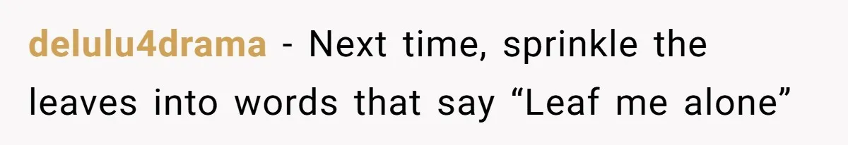 Grumpy Neighbor Sneaks Into Yard To Rake Leaves But Homeowner Strikes Back With Midnight Revenge Move delulu4drama − Next time, sprinkle the leaves into words that say “Leaf me alone”