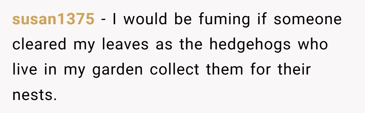 Grumpy Neighbor Sneaks Into Yard To Rake Leaves But Homeowner Strikes Back With Midnight Revenge Move susan1375 − I would be fuming if someone cleared my leaves as the hedgehogs who live in my garden collect them for their nests.