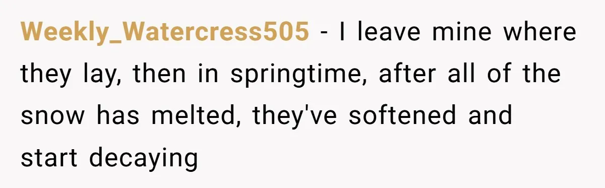 Grumpy Neighbor Sneaks Into Yard To Rake Leaves But Homeowner Strikes Back With Midnight Revenge Move Weekly_Watercress505 − I leave mine where they lay, then in springtime, after all of the snow has melted, they've softened and start decaying