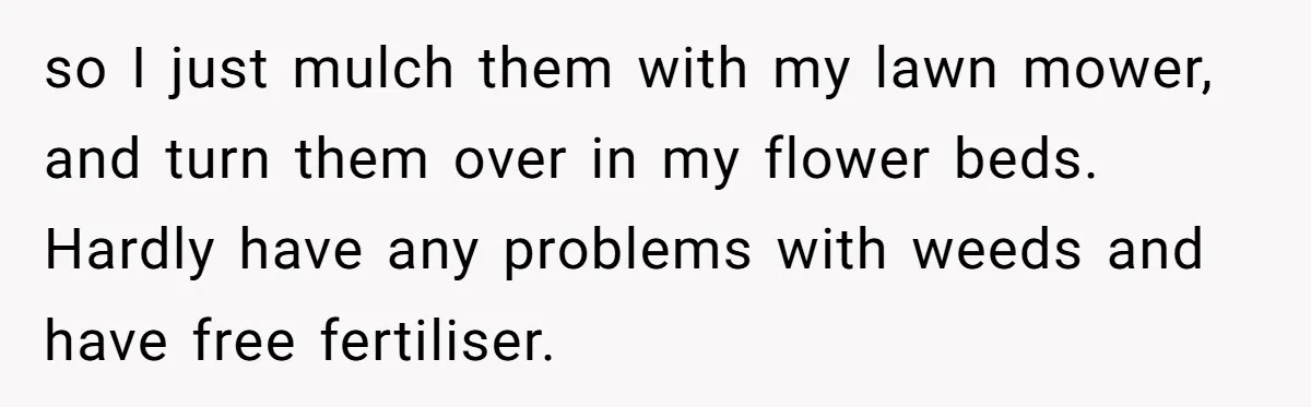 Grumpy Neighbor Sneaks Into Yard To Rake Leaves But Homeowner Strikes Back With Midnight Revenge Move so I just mulch them with my lawn mower, and turn them over in my flower beds. Hardly have any problems with weeds and have free fertiliser.