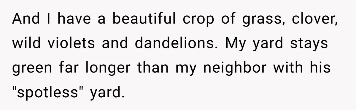 Grumpy Neighbor Sneaks Into Yard To Rake Leaves But Homeowner Strikes Back With Midnight Revenge Move And I have a beautiful crop of grass, clover, wild violets and dandelions. My yard stays green far longer than my neighbor with his "spotless" yard.