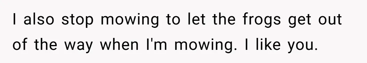 Grumpy Neighbor Sneaks Into Yard To Rake Leaves But Homeowner Strikes Back With Midnight Revenge Move I also stop mowing to let the frogs get out of the way when I'm mowing. I like you.